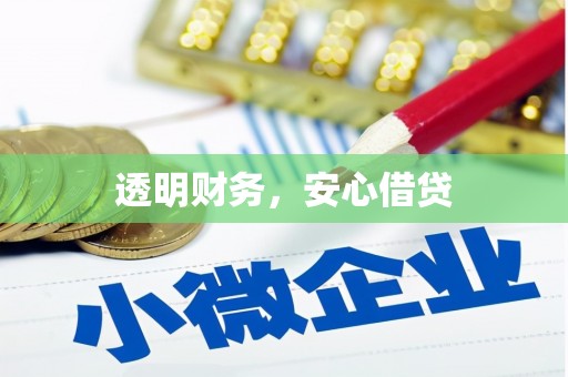 大东透明财务，安心借贷