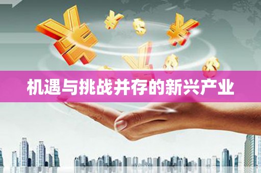 大东机遇与挑战并存的新兴产业