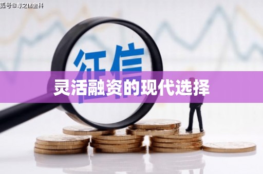 大东灵活融资的现代选择