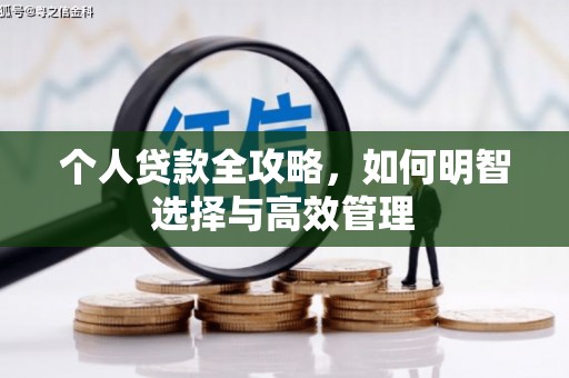 大东个人贷款全攻略，如何明智选择与高效管理
