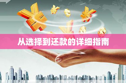 大东从选择到还款的详细指南