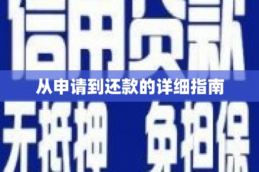 大东从申请到还款的详细指南