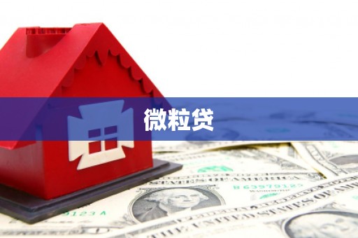 大东微粒贷
