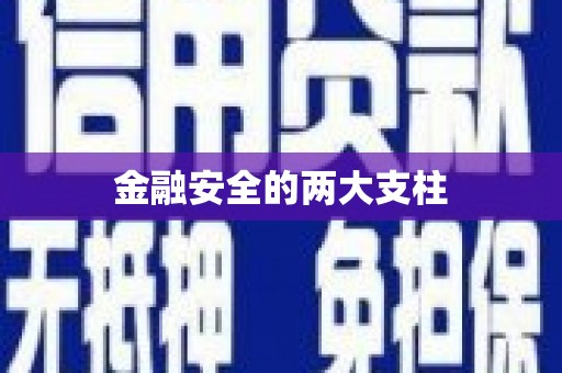 大东金融安全的两大支柱