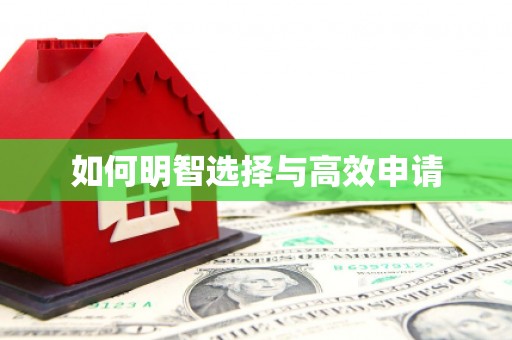 大东如何明智选择与高效申请