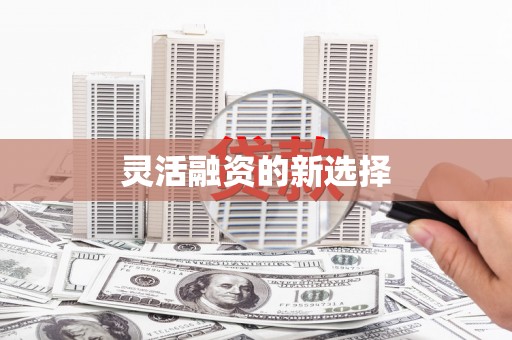 大东灵活融资的新选择