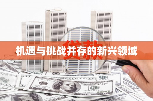 大东机遇与挑战并存的新兴领域