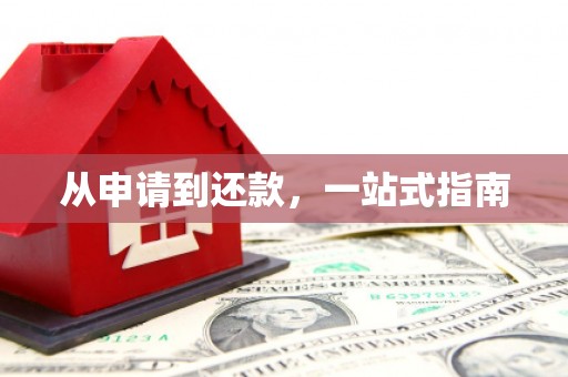 大东从申请到还款，一站式指南