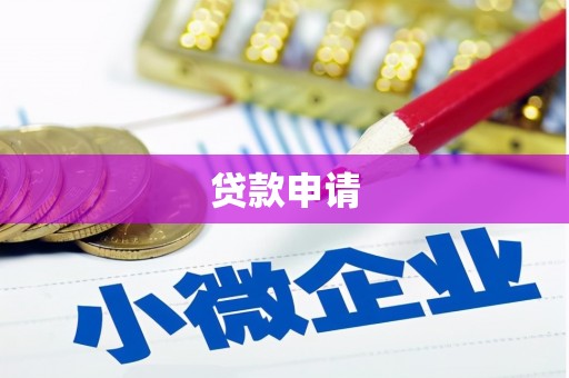 大东贷款申请