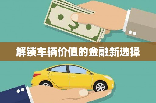 大东解锁车辆价值的金融新选择