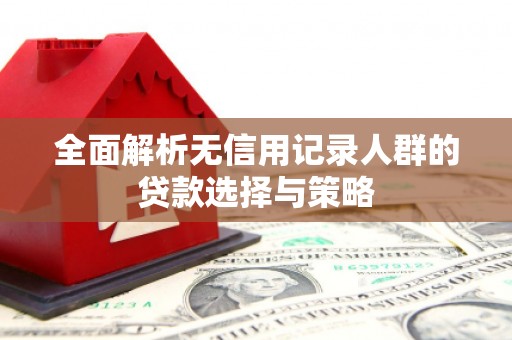 大东全面解析无信用记录人群的贷款选择与策略