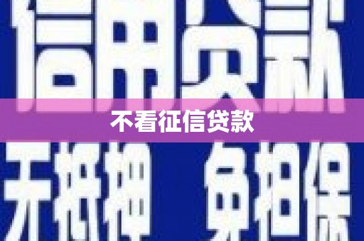 大东不看征信贷款