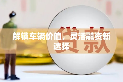 大东解锁车辆价值，灵活融资新选择