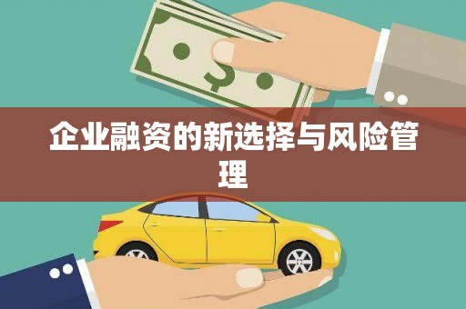 大东企业融资的新选择与风险管理