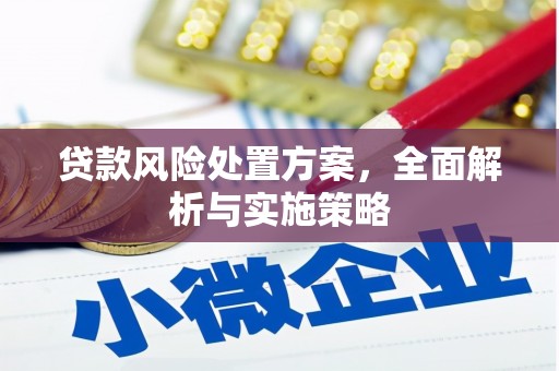 大东贷款风险处置方案，全面解析与实施策略