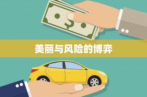 大东美丽与风险的博弈