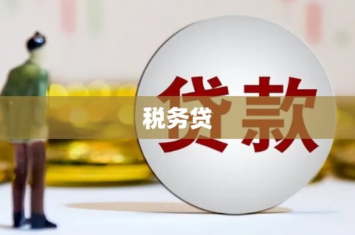 大东税务贷
