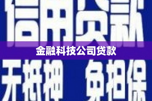 大东金融科技公司贷款