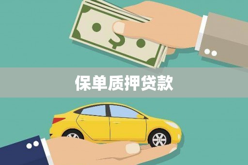 大东保单质押贷款
