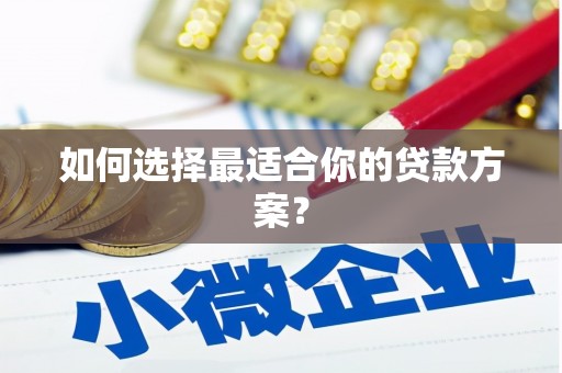 大东如何选择最适合你的贷款方案？