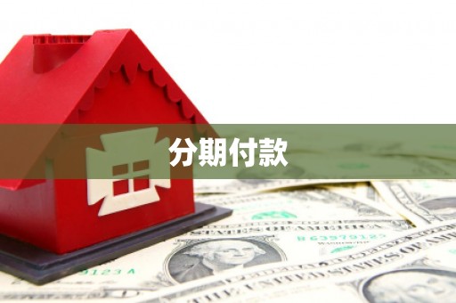 大东分期付款