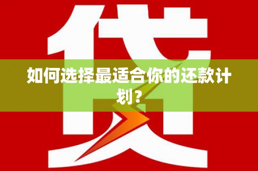 大东如何选择最适合你的还款计划？