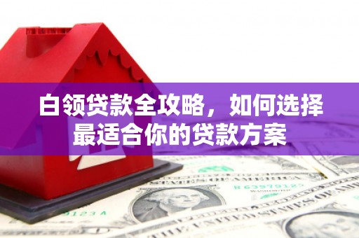 大东白领贷款全攻略，如何选择最适合你的贷款方案
