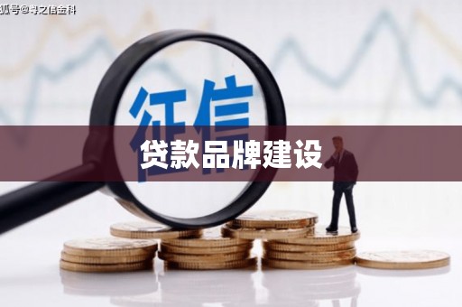 大东贷款品牌建设