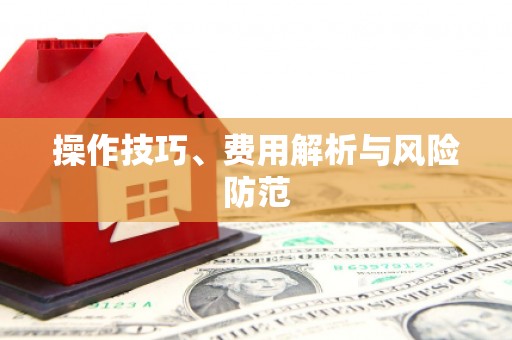 大东操作技巧、费用解析与风险防范
