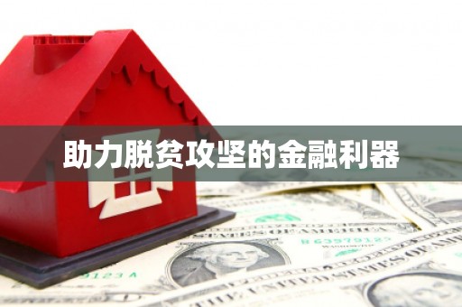 大东助力脱贫攻坚的金融利器