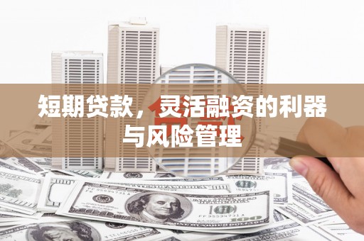 大东短期贷款，灵活融资的利器与风险管理