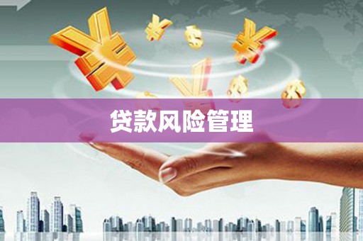 大东贷款风险管理