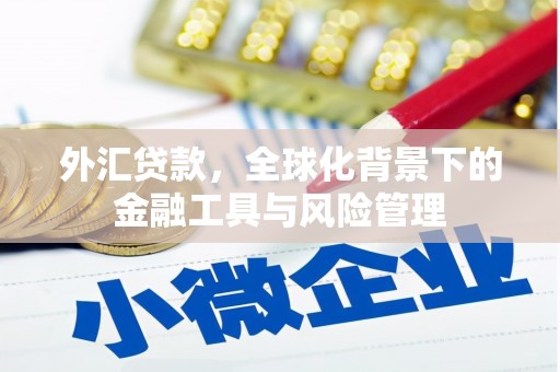 大东外汇贷款，全球化背景下的金融工具与风险管理