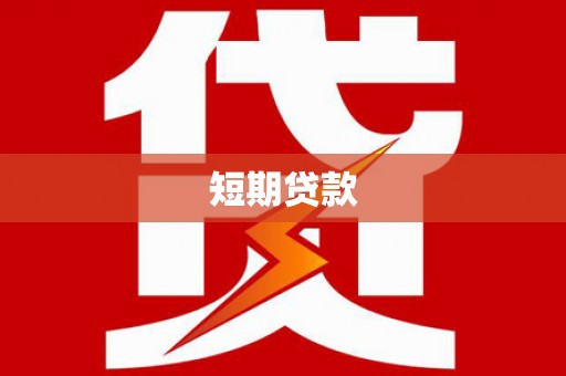 大东短期贷款