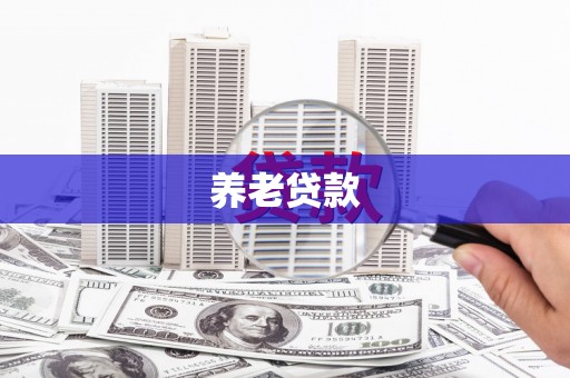 大东养老贷款