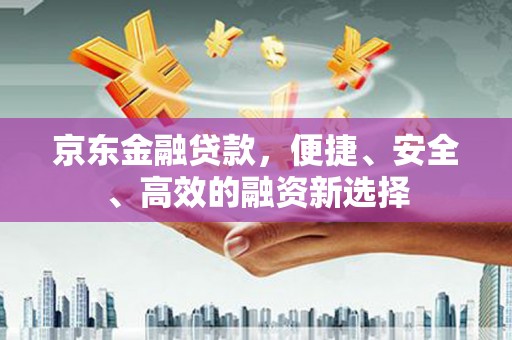 大东京东金融贷款，便捷、安全、高效的融资新选择