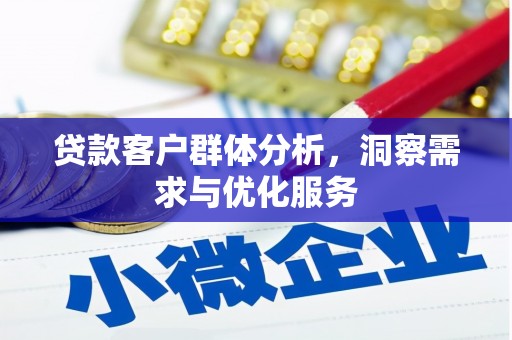 大东贷款客户群体分析，洞察需求与优化服务